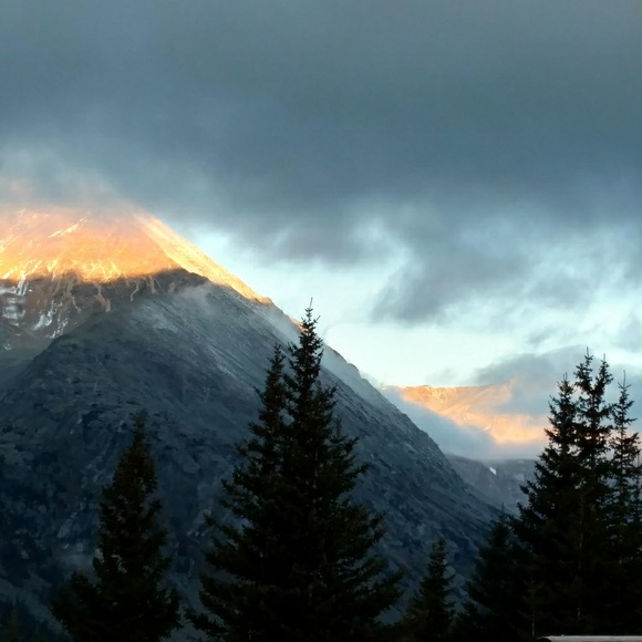 Meet your Posher, Jessica - Picture 1 of 8